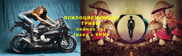 мдма Каменка