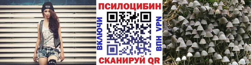 Галлюциногенные грибы GOLDEN TEACHER Семикаракорск