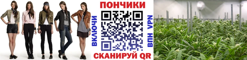 Марихуана ГИДРОПОН  Купить где  Семикаракорск 